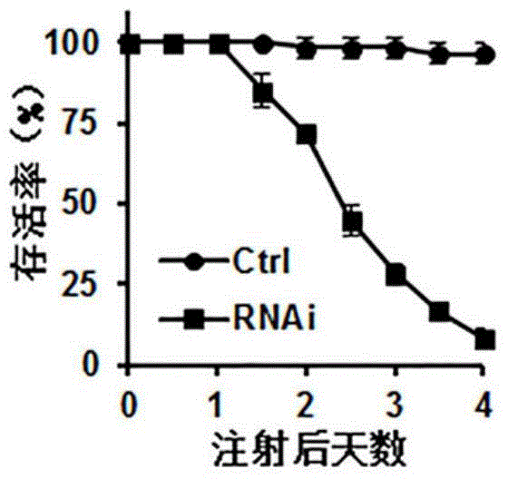 Application of Locusta migratoria ATP synthase beta subunit gene and its dsRNA in pest control