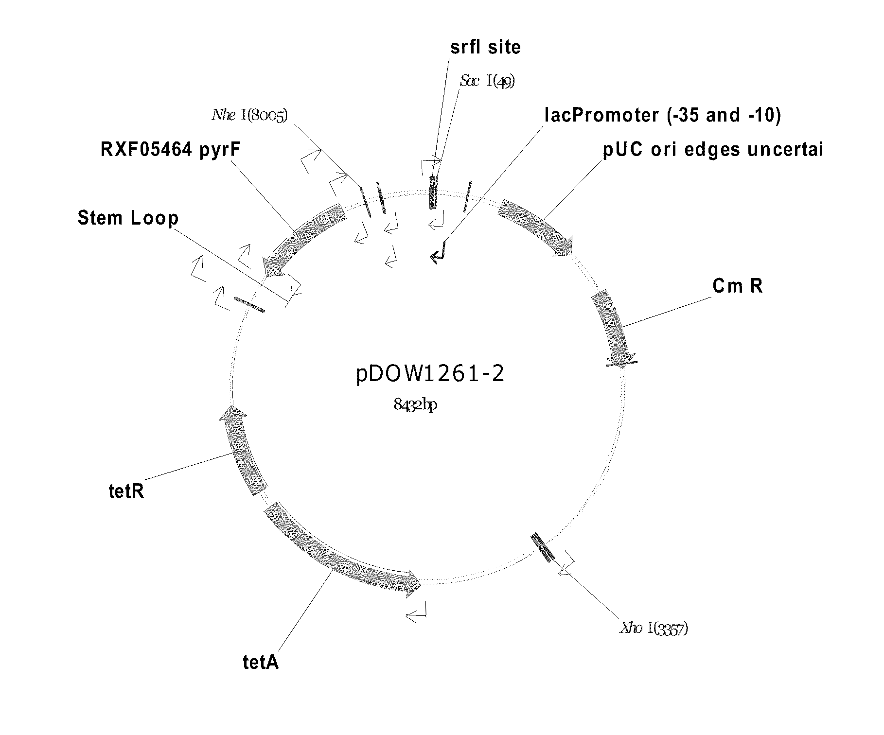 Method for Rapidly Screening Microbial Hosts to Identify Certain Strains with Improved Yield and/or Quality in the Expression of Heterologous Proteins