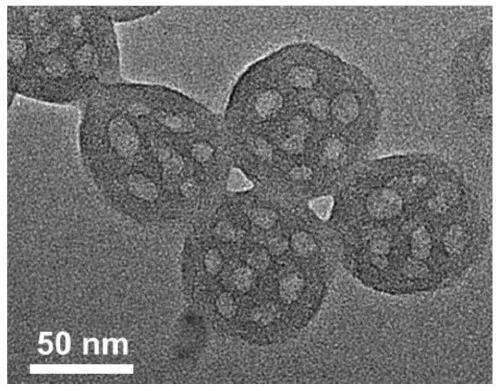 Preparation of multi-cavity carbon spheres by a self-assembly method driven by surface energy and its application