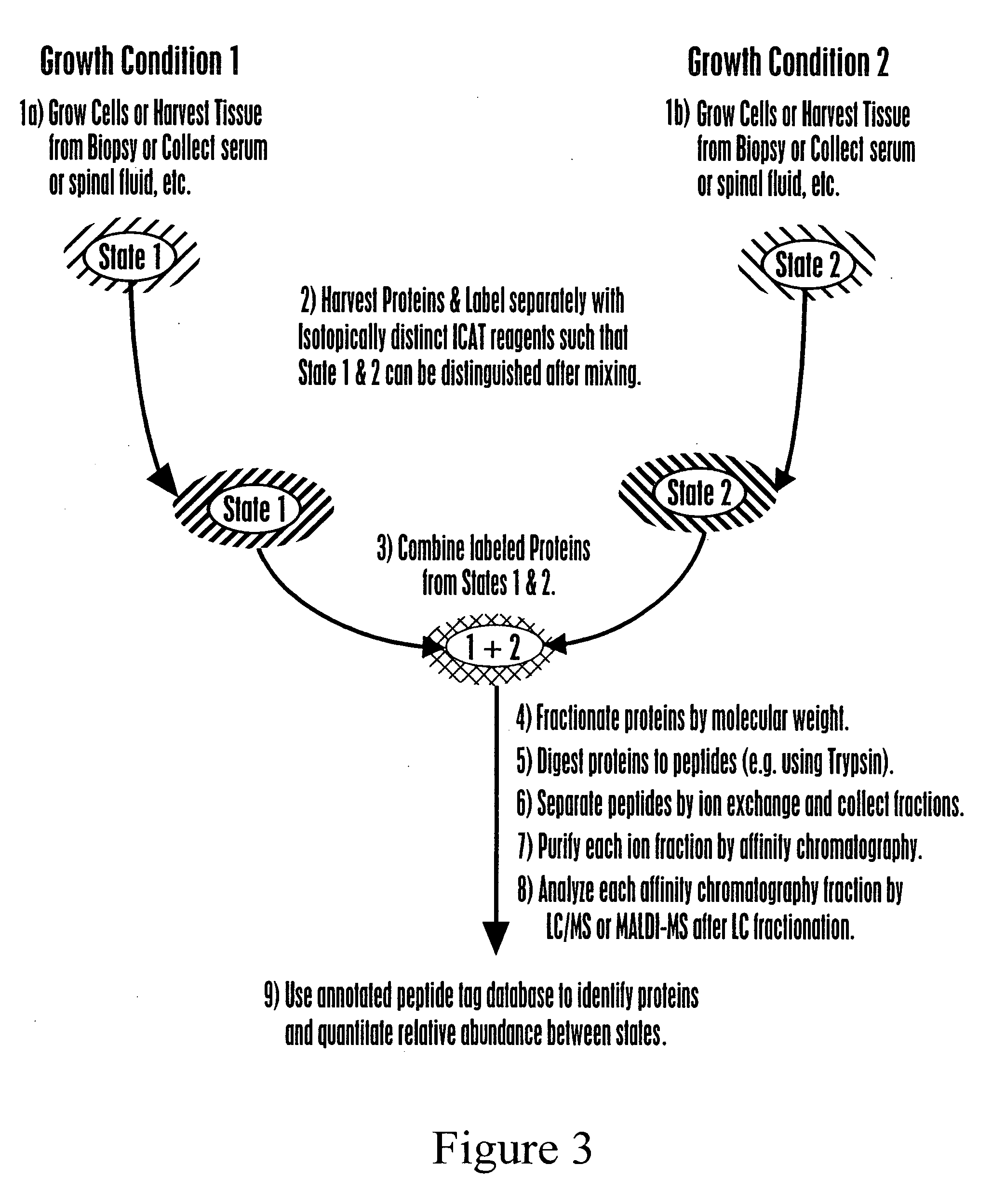 Rapid and quantitative proteome analysis and related methods