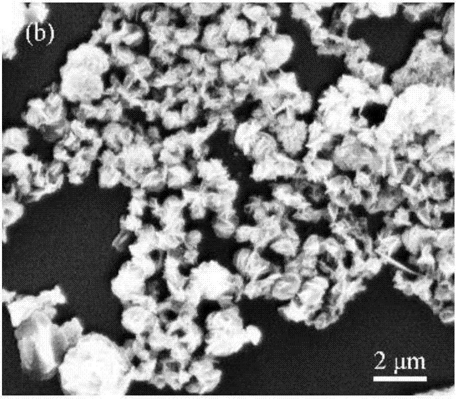 Preparation method of BiOCl photocatalyst, prepared photocatalyst and application of prepared photocatalyst