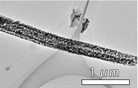 Preparation method of cuprous sulfide nanowire array efficient oxygen evolution catalyst of interface