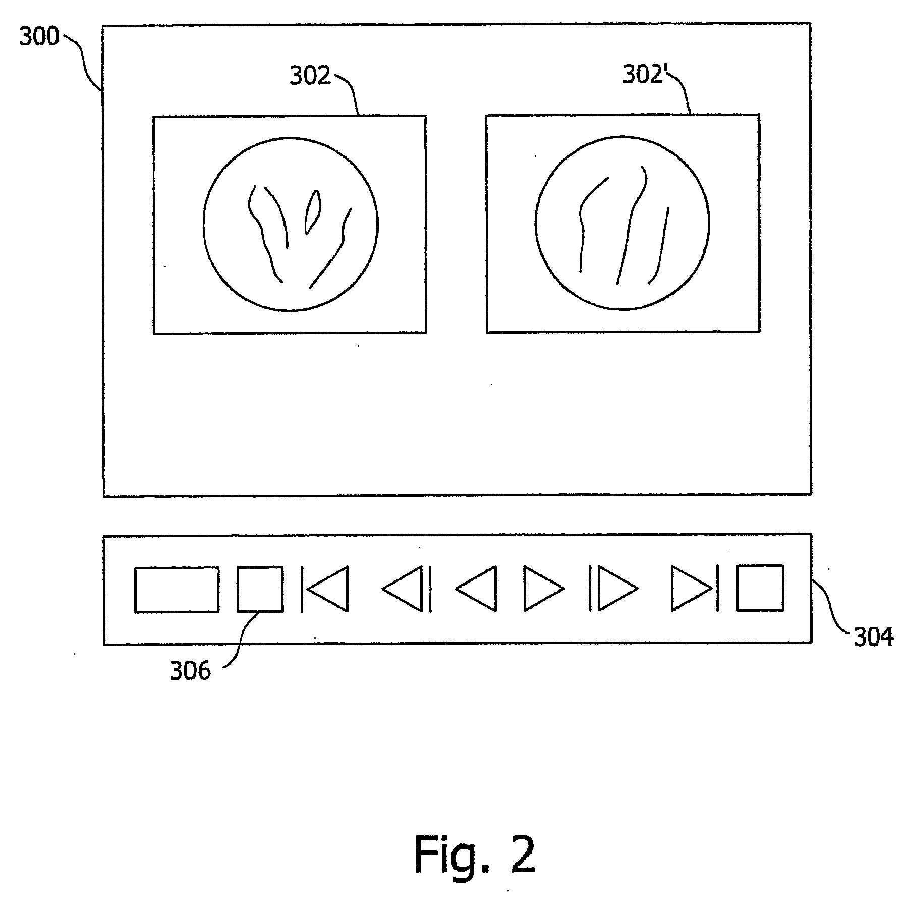 System and method for displaying an image stream