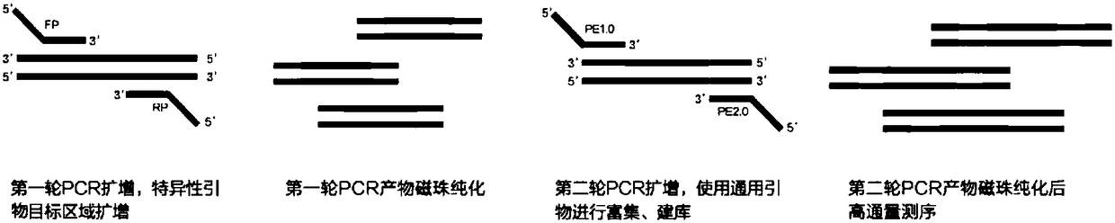 Primer set, kit, library and application for multi-gene combined detection of gynecological tumors