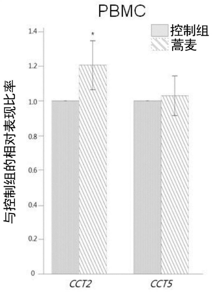 Application of plant juice in increasing anti-aging gene expression and/or increasing GSH (glutathione) content