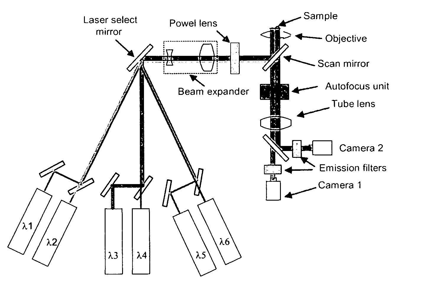 Method and apparatus for fluorescent confocal microscopy