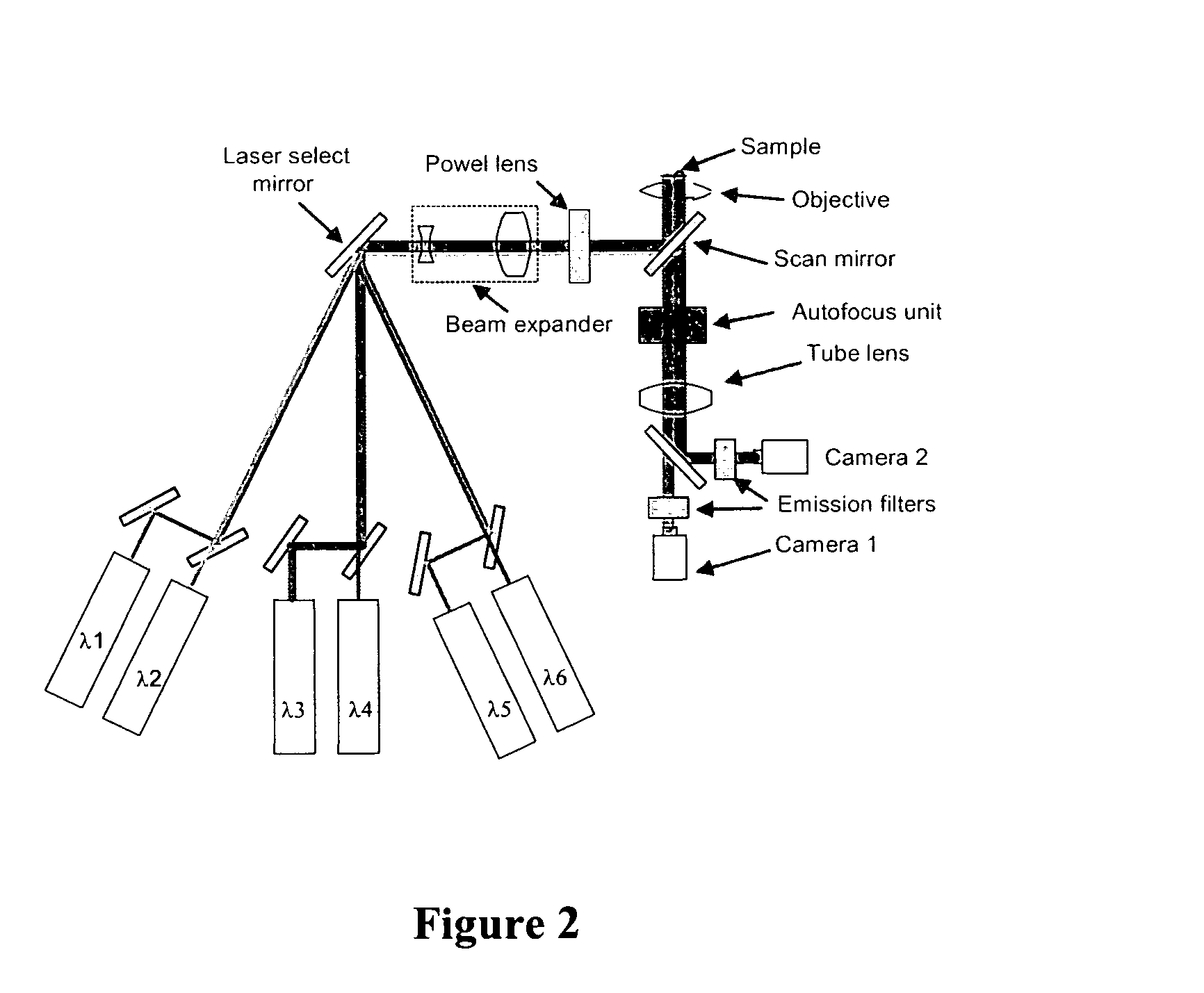 Method and apparatus for fluorescent confocal microscopy