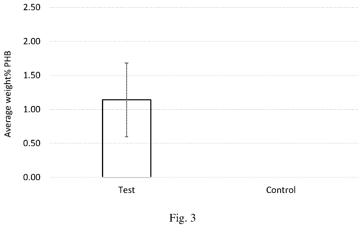 Production of polyhydroxybutyrate in wood-ljungdahl microorganisms