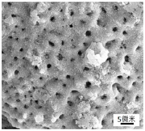 Preparation method of bioactive porous tantalum implant