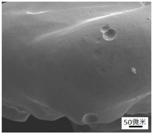 Preparation method of bioactive porous tantalum implant