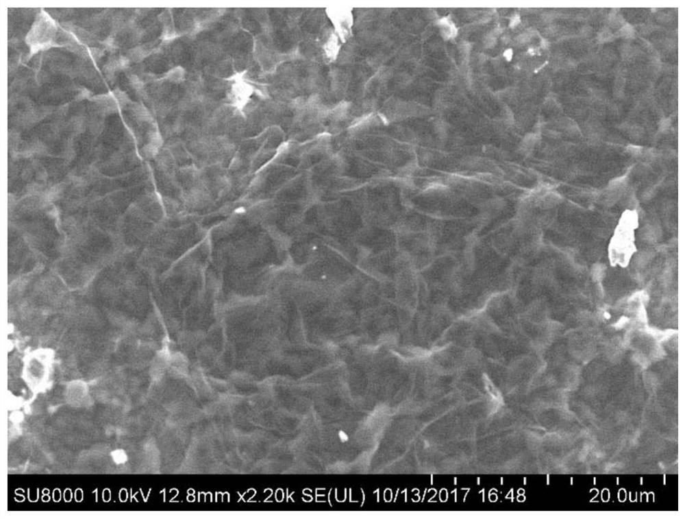 Transition metal carbon/nitride-based current collector for negative electrode of metal secondary battery as well as preparation method and application of transition metal carbon/nitride-based current collector