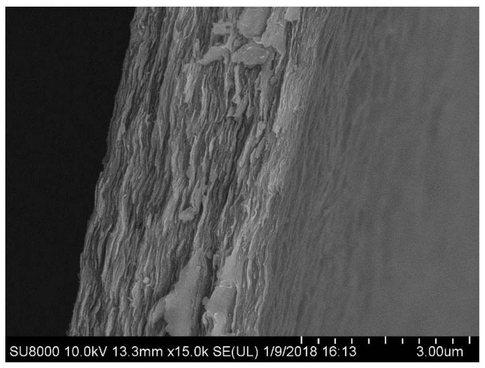 Transition metal carbon/nitride-based current collector for negative electrode of metal secondary battery as well as preparation method and application of transition metal carbon/nitride-based current collector