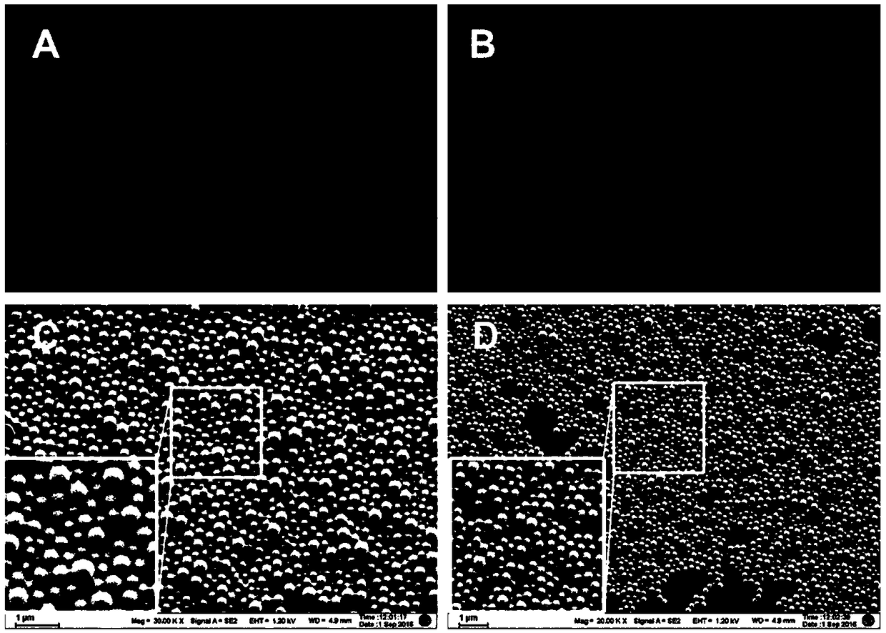 PEG-PLGA nanosphere loading BDNF gene plasmid as well as preparation method and application thereof