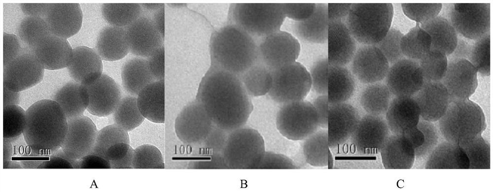 Tumor-specific cleavable pegized nanoparticles, preparation method and application