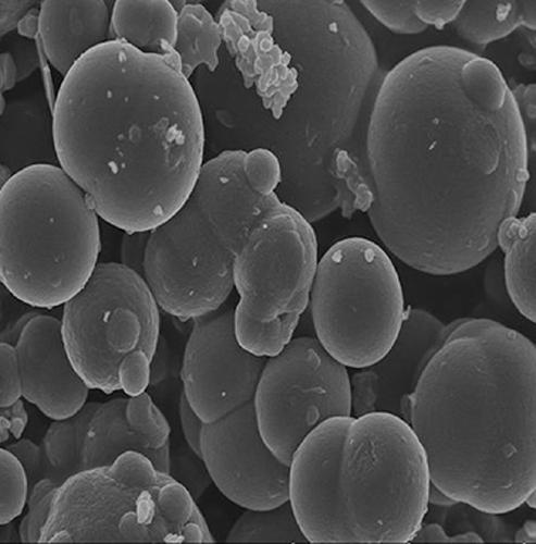 Coal-based nitrogen-doped activated carbon spherical electrode material with high specific surface area and preparation method thereof