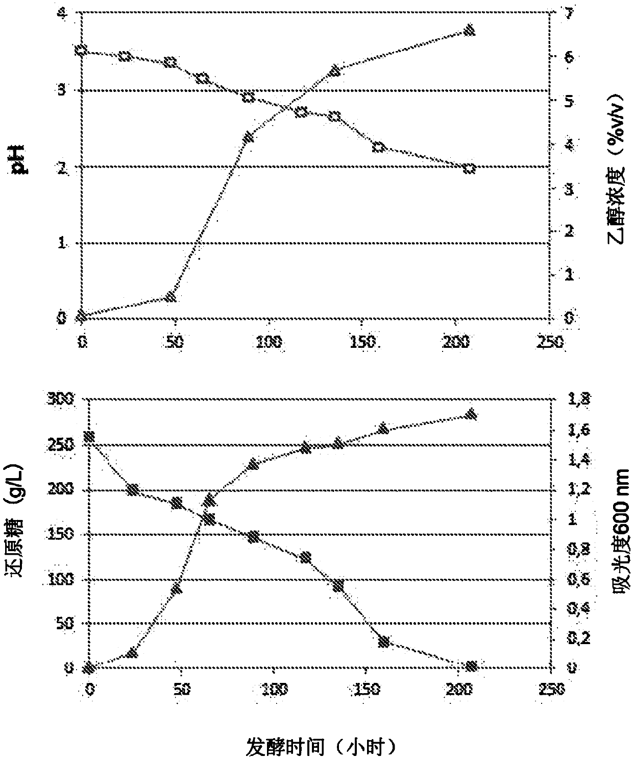 Methodology for preparing ethanol-reduced fermented beverages