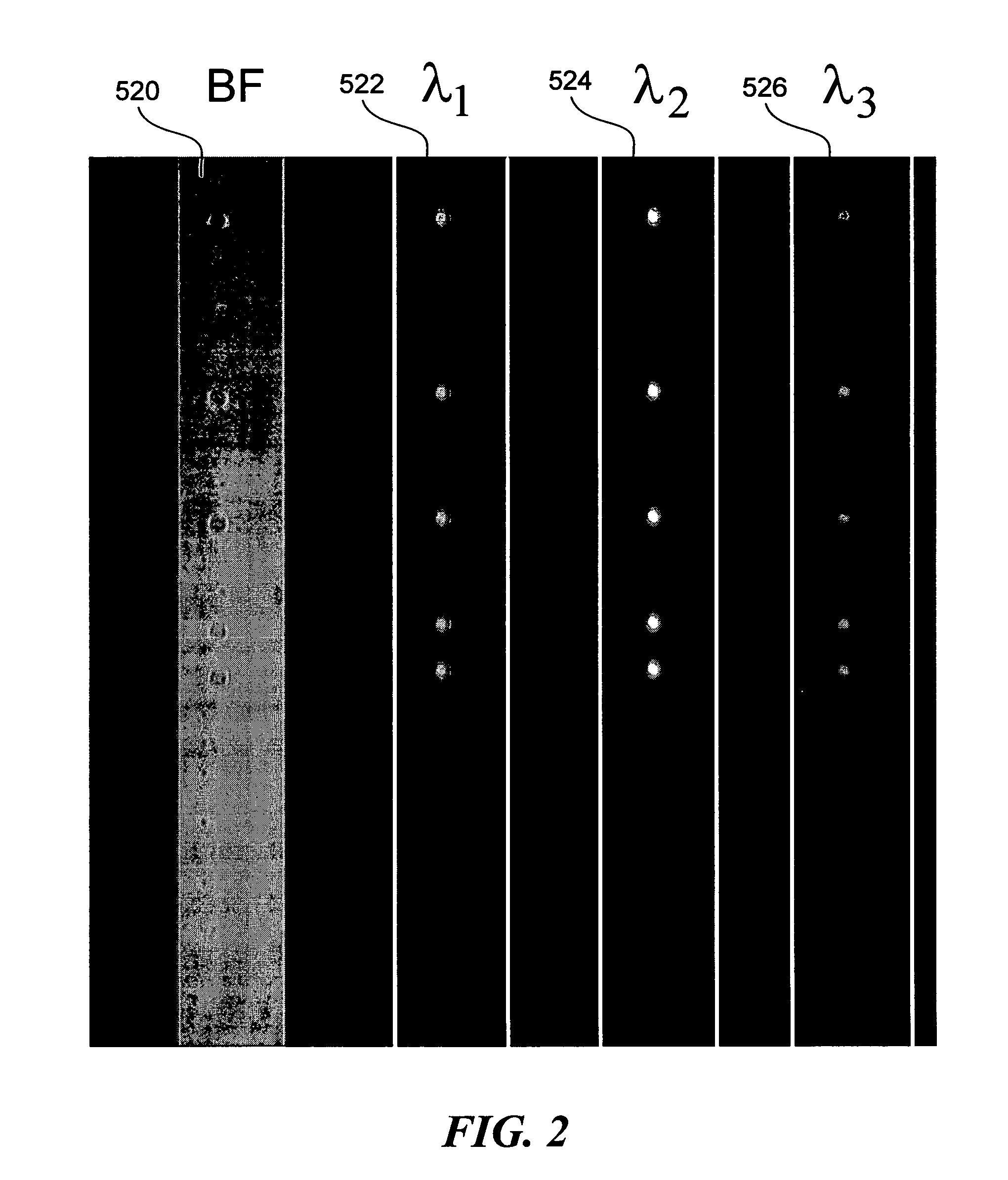 Methods for analyzing inter-cellular phenomena