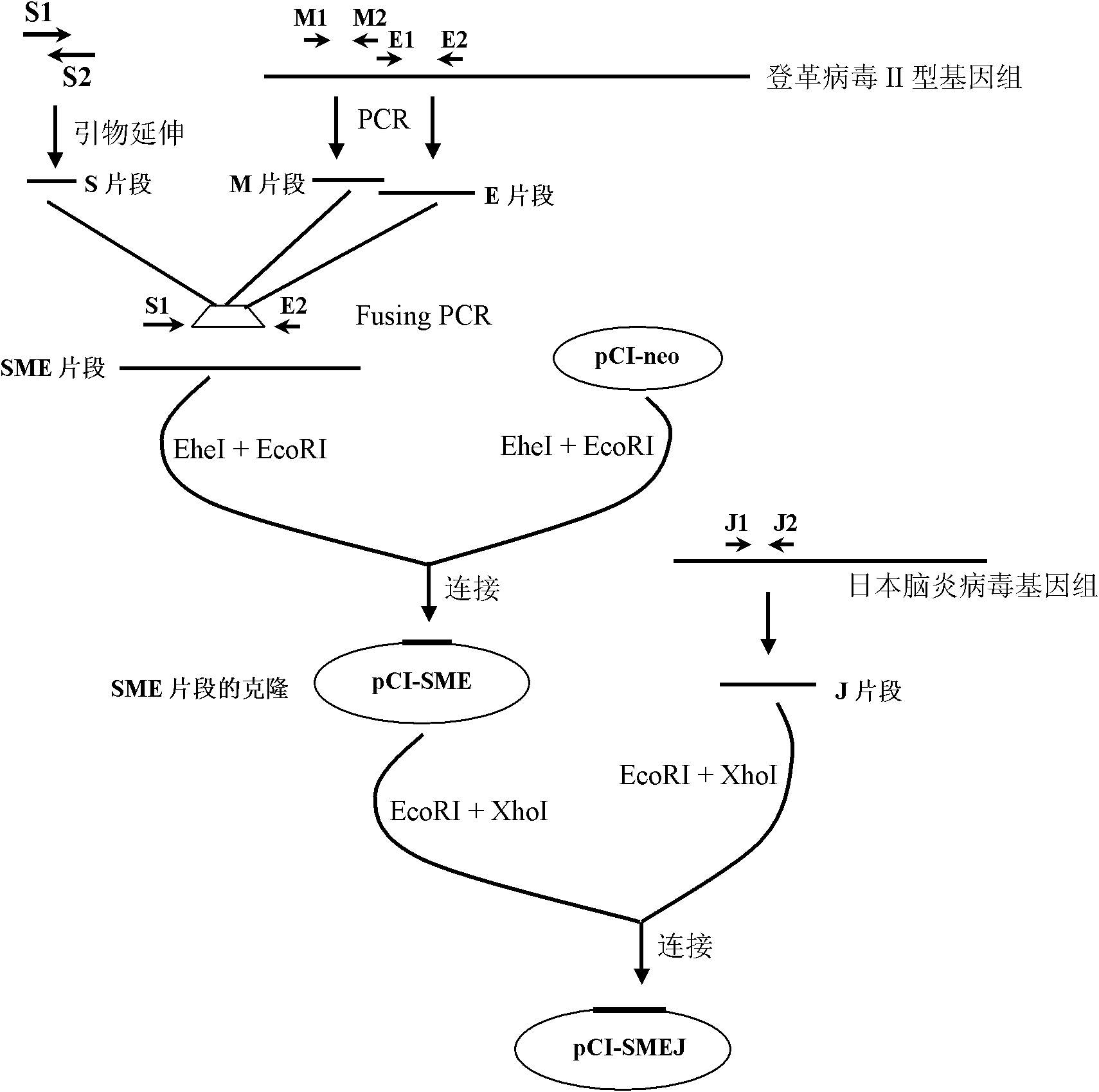 Dengue virus and Japanese encephalitis virus embedded pseudo virus particle vaccine and preparation method thereof