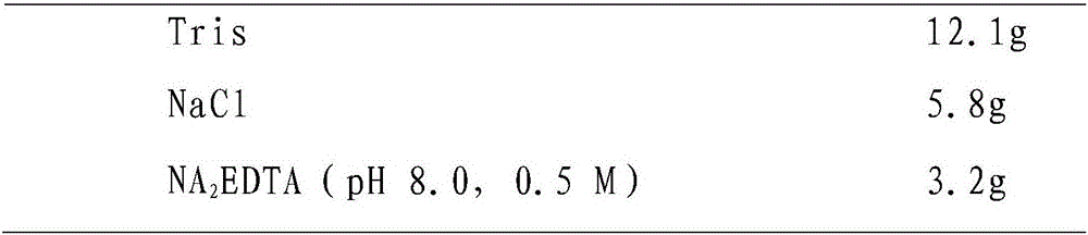 Wheat stalk breaking strength molecular marker QWQD4B.4-13 and application thereof