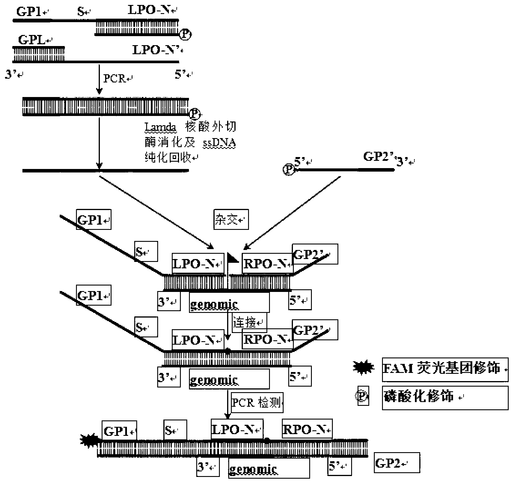 Method for detecting serotyping of streptococcus pneumoniae