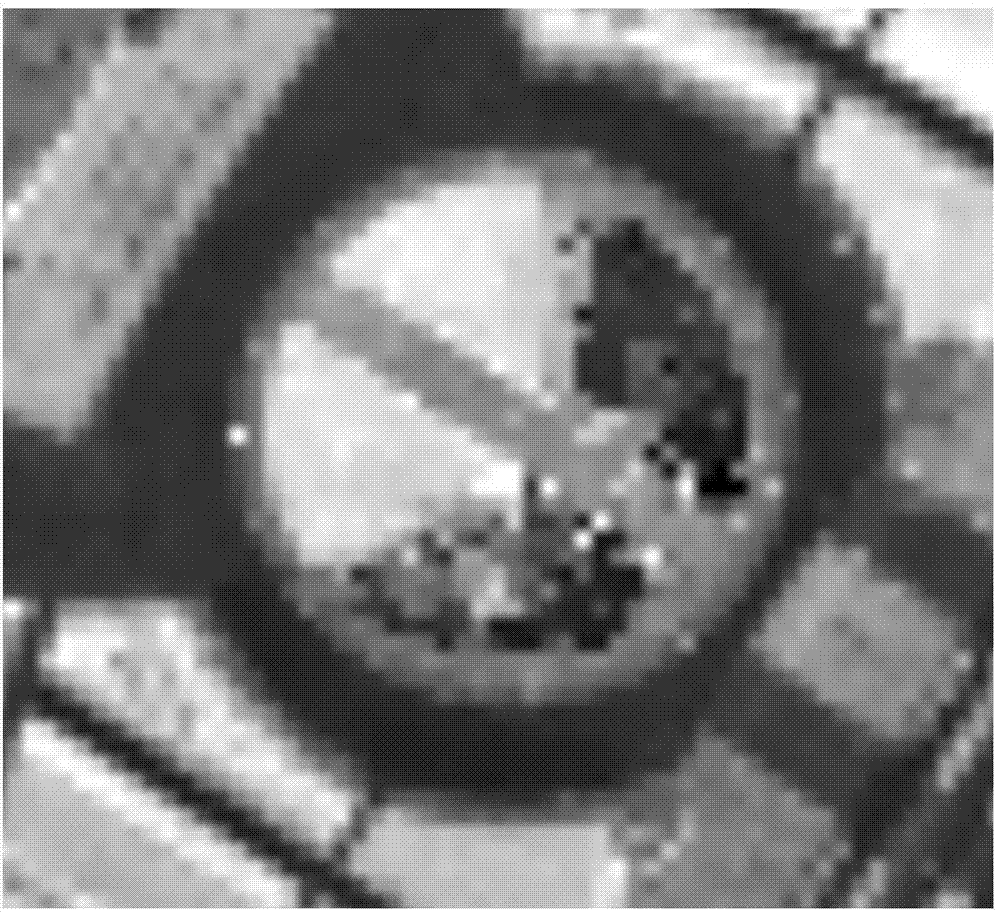 High-resolution aerial image partition method based on LEGION and under assisting of LiDAR