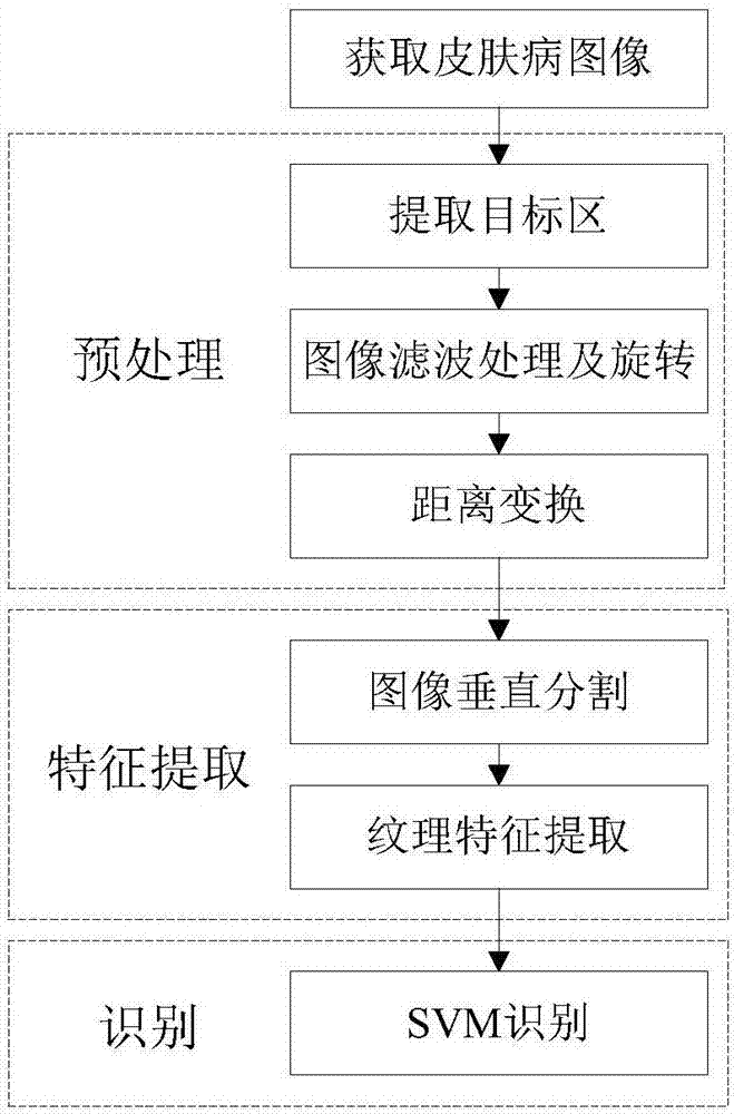 Method for extracting features of skin diseases based on image identification