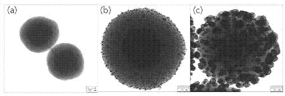 Composite,fabrication and recovery methods thereof, catalyst, antibiosis or antiviral compounds