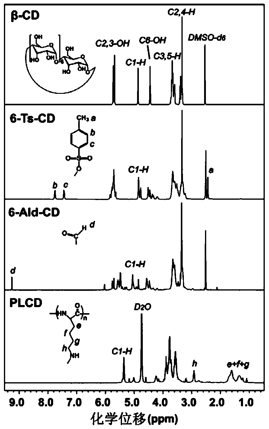 Tumor-targeting nanoparticles co-loaded with chemotherapeutic drugs and nucleic acids and preparation method thereof