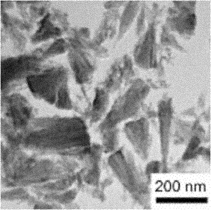 Preparation method of tin dioxide self-assembly nanostructure microsphere