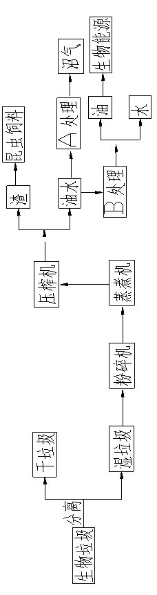 Treatment process for biological wastes