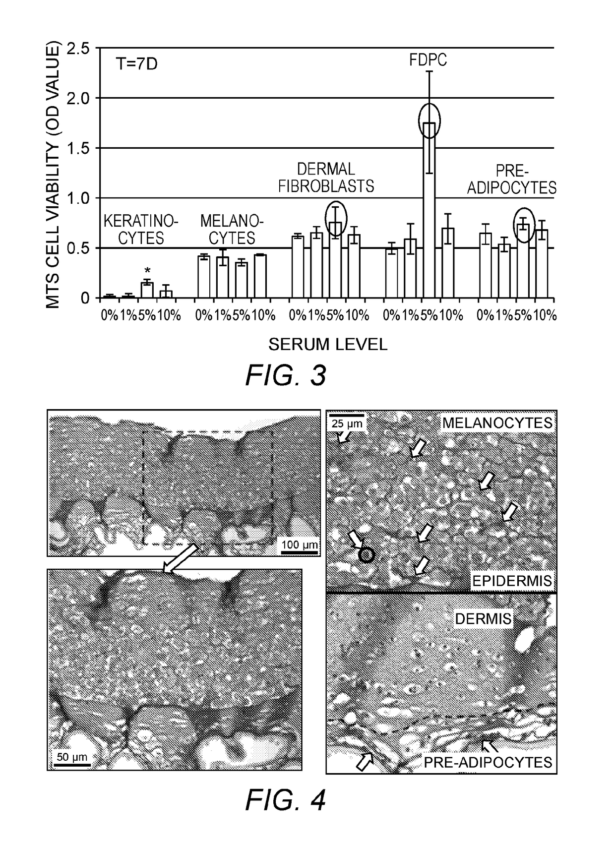 Multi-layer skin substitute products and methods of making and using the same