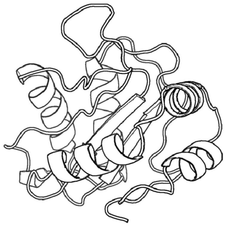 Protein structure prediction method based on residue distance enhanced search