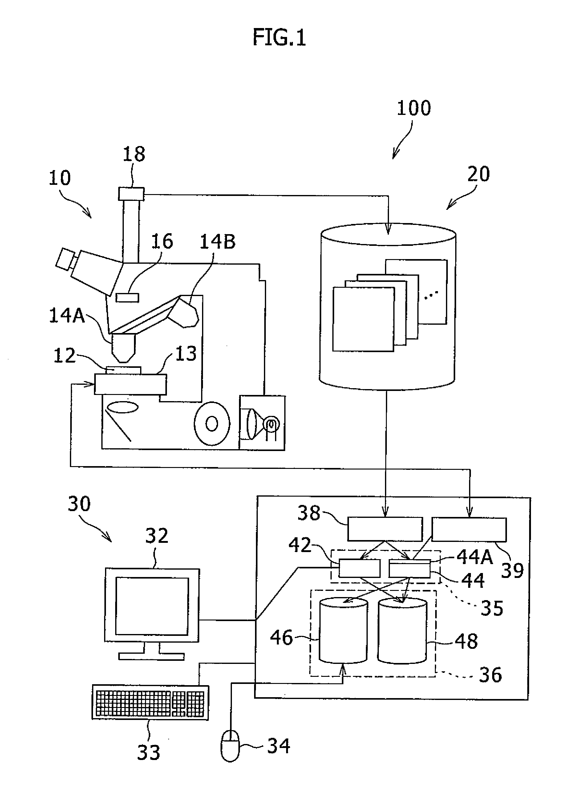 Specimen analysis and acicular region analyzer