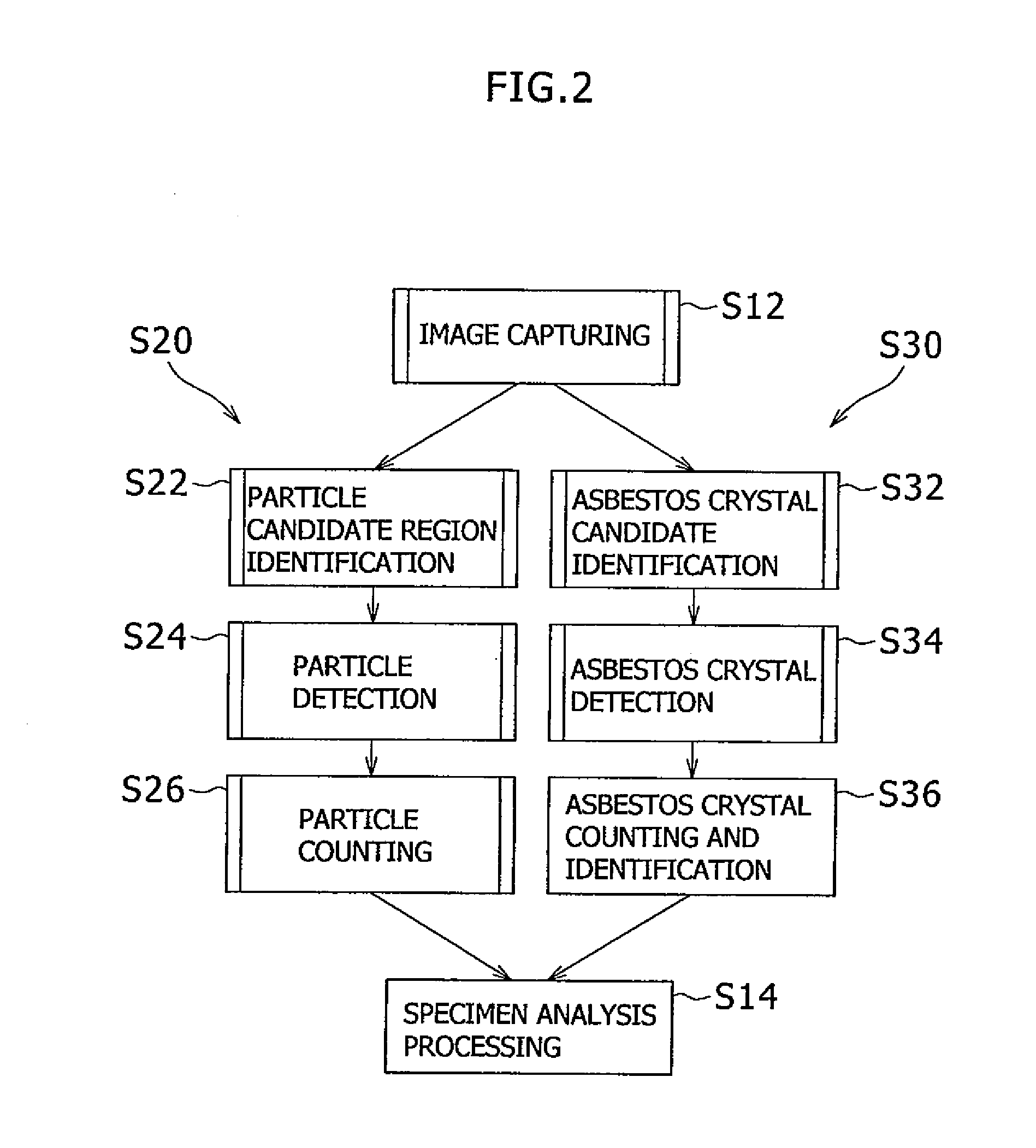 Specimen analysis and acicular region analyzer