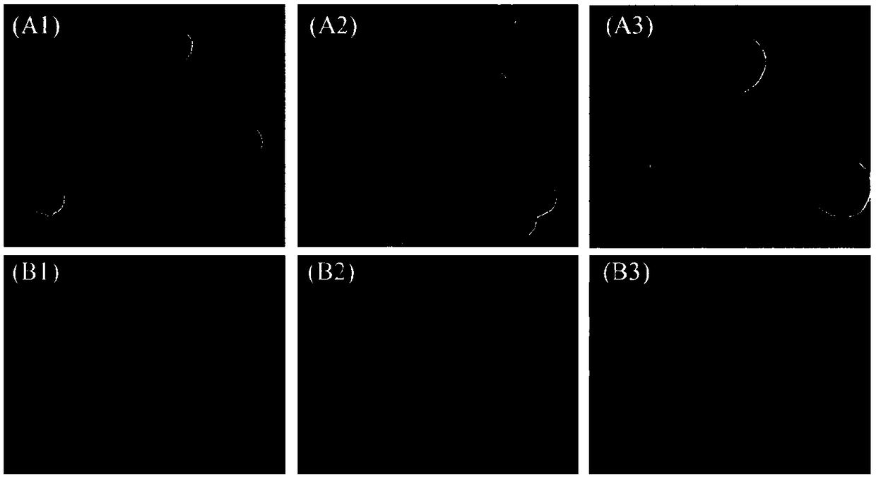 Preparation method of nanometer zinc oxide/cation polysaccharide hybridized nano-particles