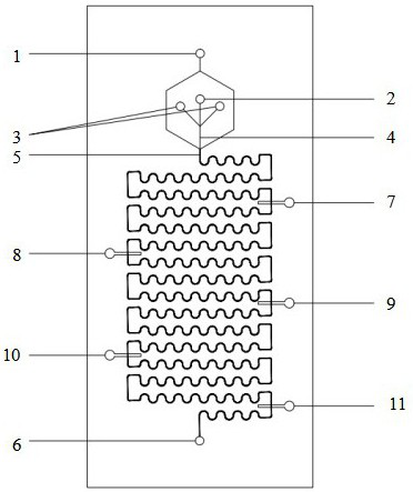 Preparation method of gold-silver core-shell nanoparticle electrochemical biosensor synthesized by adopting pressure change type micro-fluidic chip