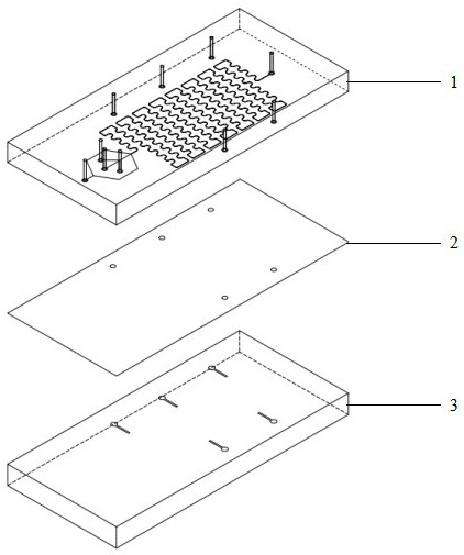 Preparation method of gold-silver core-shell nanoparticle electrochemical biosensor synthesized by adopting pressure change type micro-fluidic chip