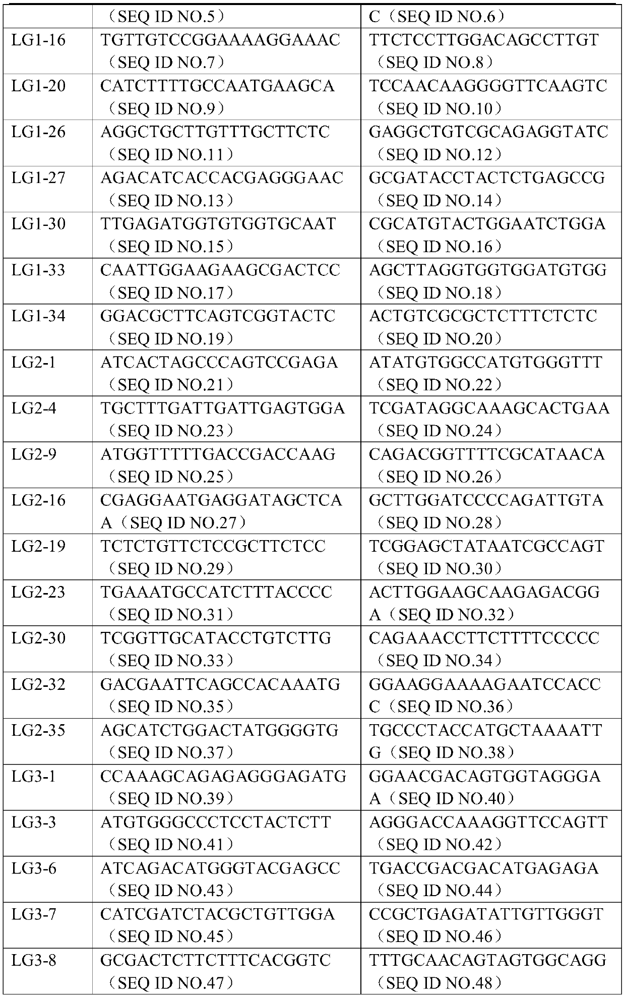 A group of lotus root indel molecular markers, its development method and application