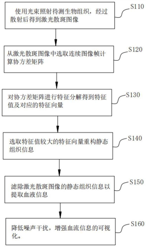 Blood flow dynamic detection method and system based on laser speckle imaging and medium