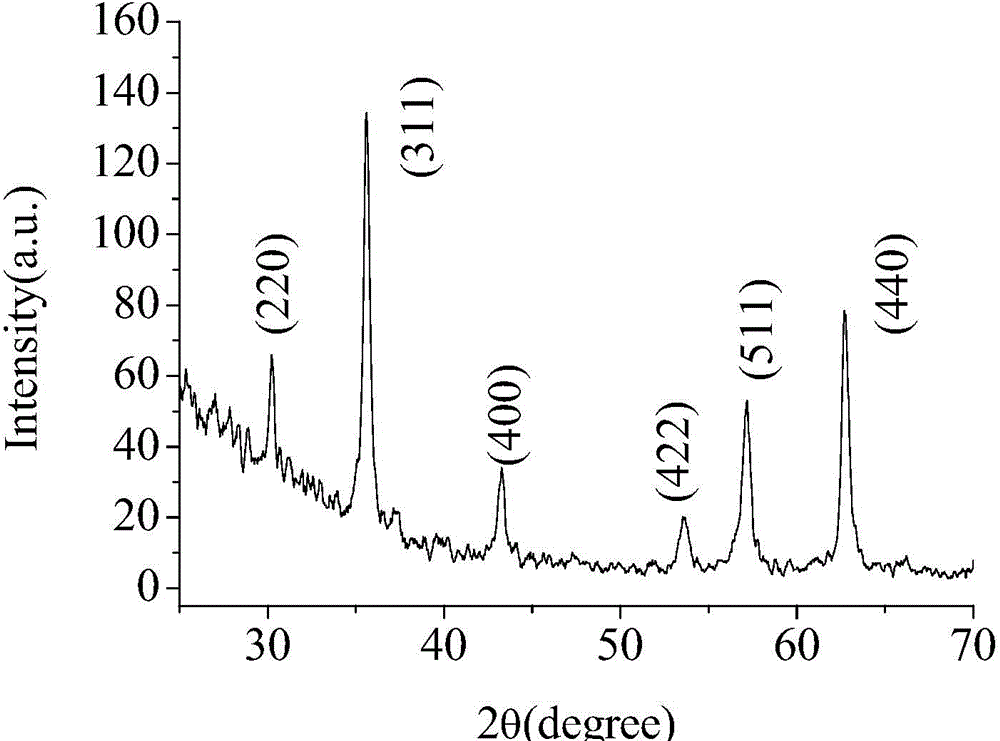 Preparation method of iron oxide nanowire