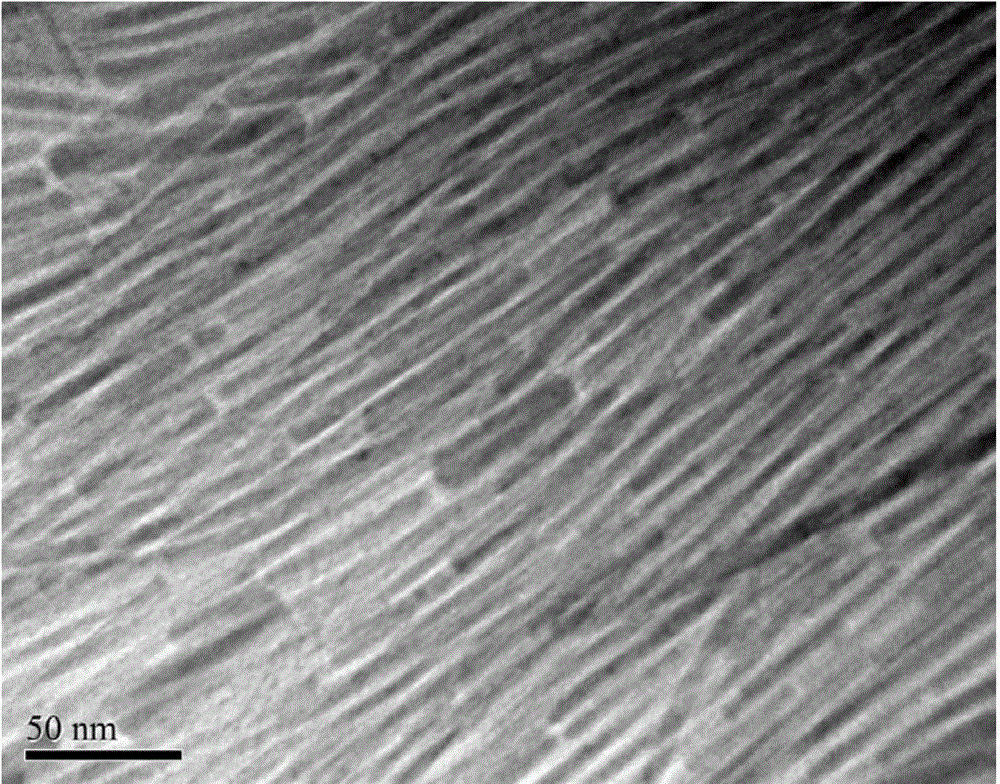 Preparation method of iron oxide nanowire