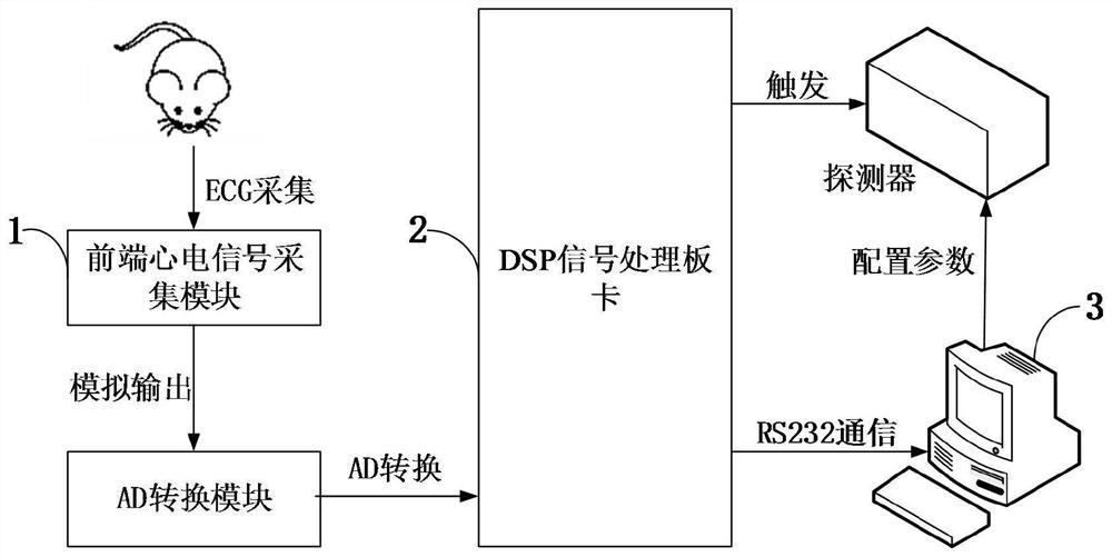 A mouse heart imaging system and method based on prospective ECG gating