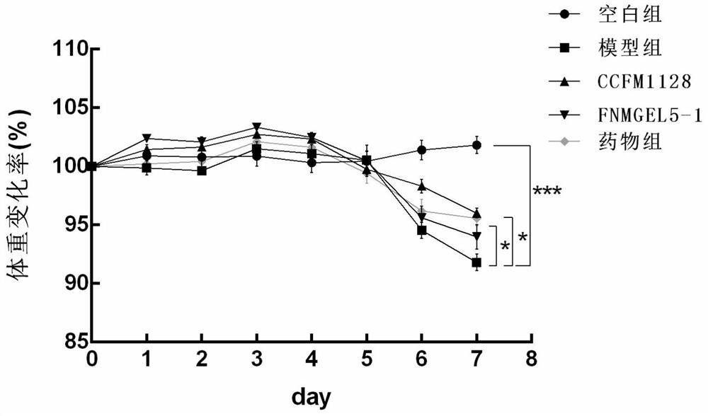 Lactobacillus rhamnosus capable of preventing and relieving ulcerative colitis and application of lactobacillus rhamnosus