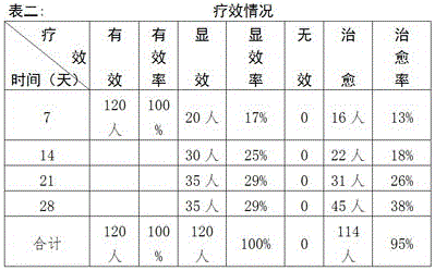 Traditional Chinese medicine composition for treating damp-heat type IgA nephropathy