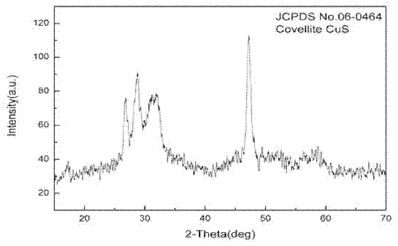 Method for preparing flower-shaped copper sulfide (CuS) nanocrystal