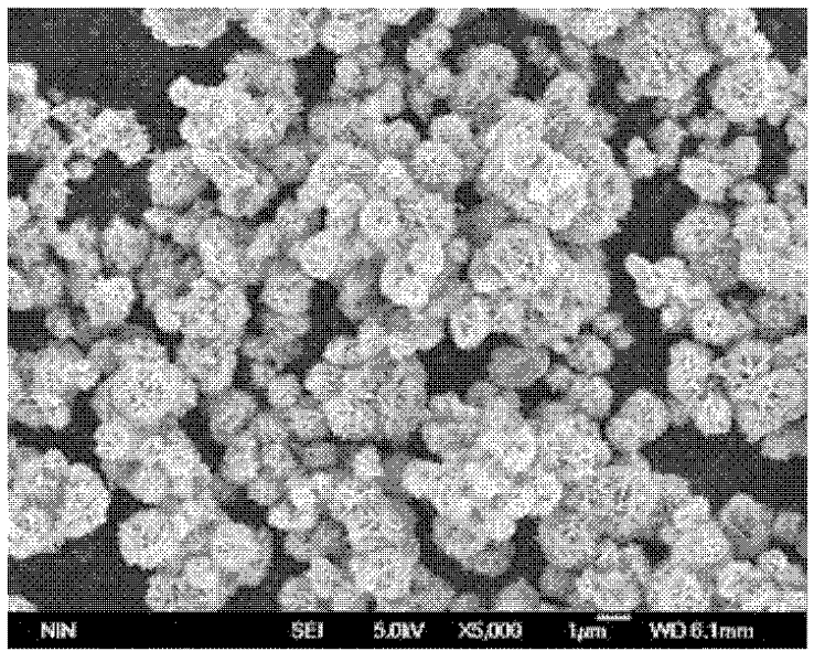 Method for preparing flower-shaped copper sulfide (CuS) nanocrystal