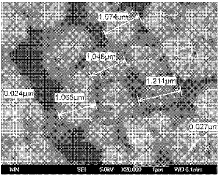 Method for preparing flower-shaped copper sulfide (CuS) nanocrystal