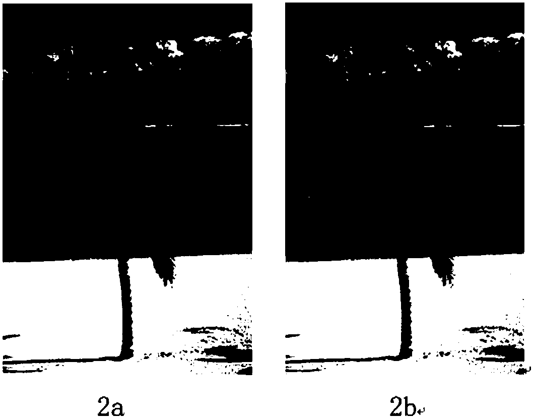 Image retrieval method and system