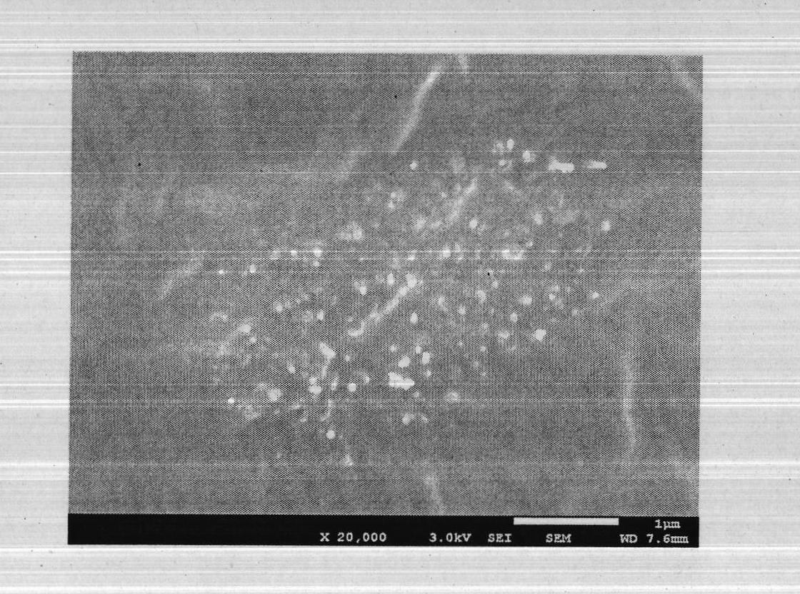 Graphene/carbon nanotube hybrid polymer composite material