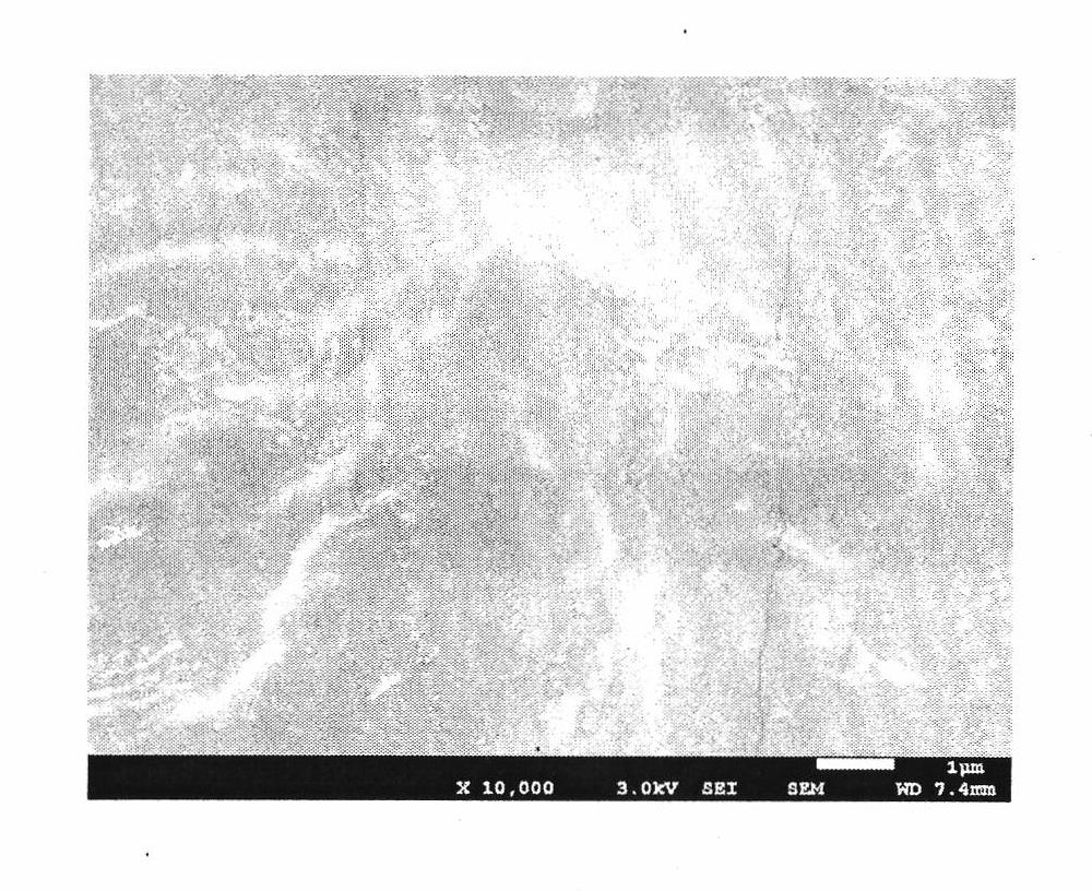 Graphene/carbon nanotube hybrid polymer composite material